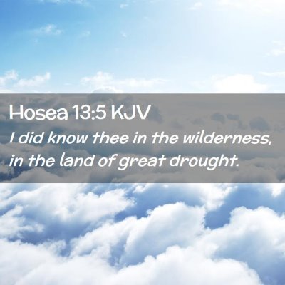 Picture 02 - Hosea 13:5 KJV - I did know thee in the wilderness, in the land of - Bible Verse Picture