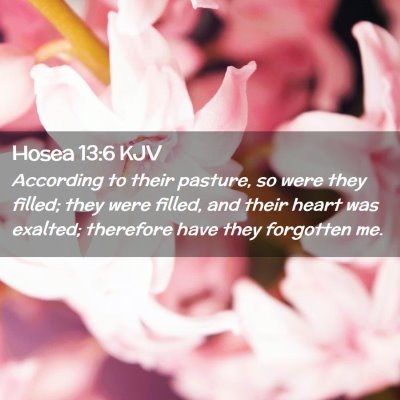 Picture 02 - Hosea 13:6 KJV - According to their pasture, so were they filled; - Bible Verse Picture