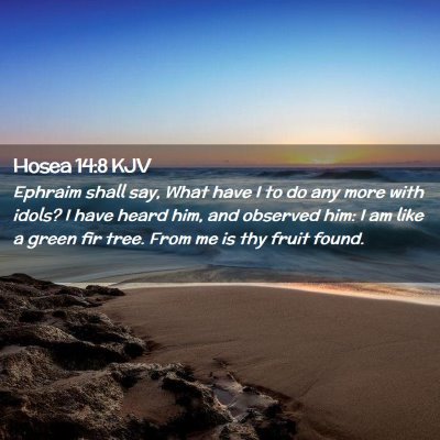 Picture 02 - Hosea 14:8 KJV - Ephraim shall say, What have I to do any more - Bible Verse Picture