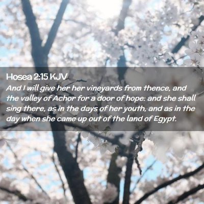 Picture 02 - Hosea 2:15 KJV - And I will give her her vineyards from thence, - Bible Verse Picture