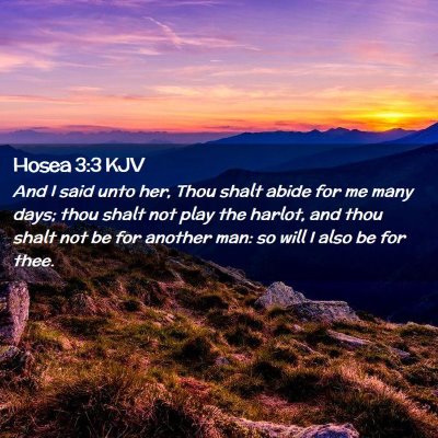 Picture 02 - Hosea 3:3 KJV - And I said unto her, Thou shalt abide for me many - Bible Verse Picture