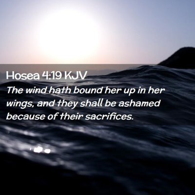 Picture 02 - Hosea 4:19 KJV - The wind hath bound her up in her wings, and they - Bible Verse Picture