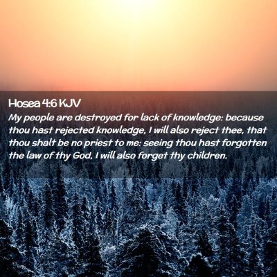 Picture 02 - Hosea 4:6 KJV - My people are destroyed for lack of knowledge: - Bible Verse Picture