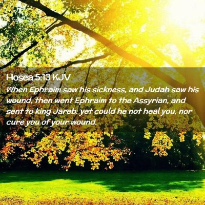 Picture 02 - Hosea 5:13 KJV - When Ephraim saw his sickness, and Judah saw his - Bible Verse Picture