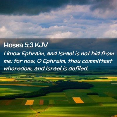 Picture 02 - Hosea 5:3 KJV - I know Ephraim, and Israel is not hid from me: - Bible Verse Picture