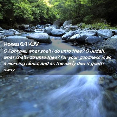 Picture 02 - Hosea 6:4 KJV - O Ephraim, what shall I do unto thee? O Judah, - Bible Verse Picture
