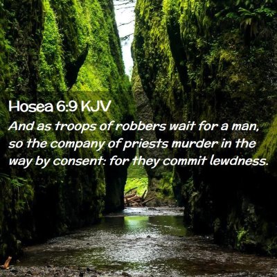 Picture 02 - Hosea 6:9 KJV - And as troops of robbers wait for a man, so the - Bible Verse Picture