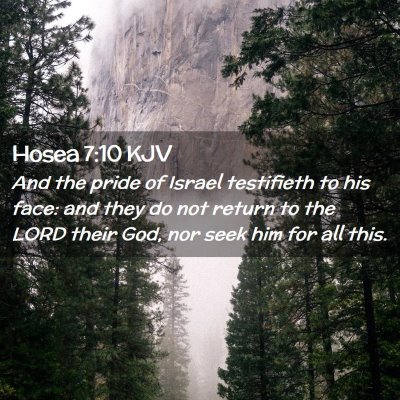 Picture 02 - Hosea 7:10 KJV - And the pride of Israel testifieth to his face: - Bible Verse Picture