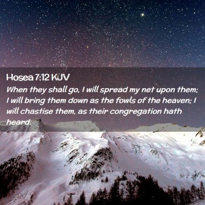 Picture 02 - Hosea 7:12 KJV - When they shall go, I will spread my net upon - Bible Verse Picture