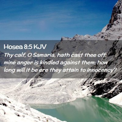 Picture 02 - Hosea 8:5 KJV - Thy calf, O Samaria, hath cast thee off; mine - Bible Verse Picture