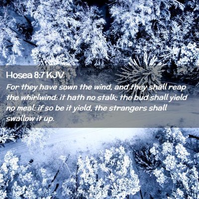 Picture 02 - Hosea 8:7 KJV - For they have sown the wind, and they shall reap - Bible Verse Picture