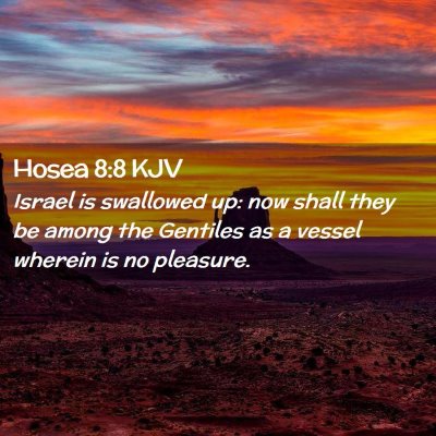Picture 02 - Hosea 8:8 KJV - Israel is swallowed up: now shall they be among - Bible Verse Picture