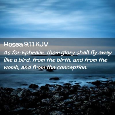 Picture 02 - Hosea 9:11 KJV - As for Ephraim, their glory shall fly away like a - Bible Verse Picture