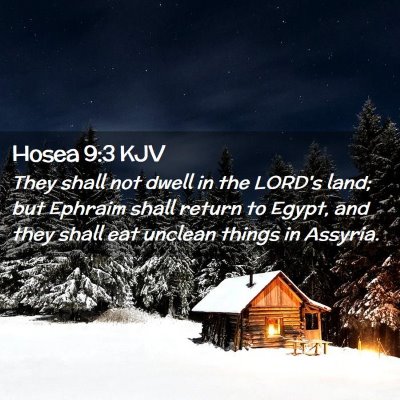 Picture 02 - Hosea 9:3 KJV - They shall not dwell in the LORD's land; but - Bible Verse Picture
