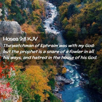 Picture 02 - Hosea 9:8 KJV - The watchman of Ephraim was with my God: but the - Bible Verse Picture