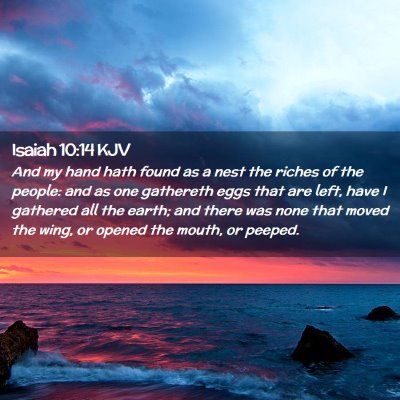 Picture 02 - Isaiah 10:14 KJV - And my hand hath found as a nest the riches of - Bible Verse Picture