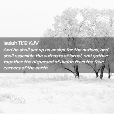 Picture 02 - Isaiah 11:12 KJV - And he shall set up an ensign for the nations, - Bible Verse Picture