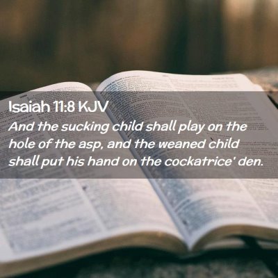 Picture 02 - Isaiah 11:8 KJV - And the sucking child shall play on the hole of - Bible Verse Picture