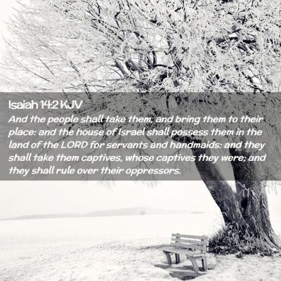 Picture 02 - Isaiah 14:2 KJV - And the people shall take them, and bring them to - Bible Verse Picture