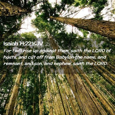 Picture 02 - Isaiah 14:22 KJV - For I will rise up against them, saith the LORD - Bible Verse Picture