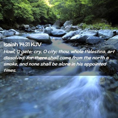 Picture 02 - Isaiah 14:31 KJV - Howl, O gate; cry, O city; thou, whole Palestina, - Bible Verse Picture