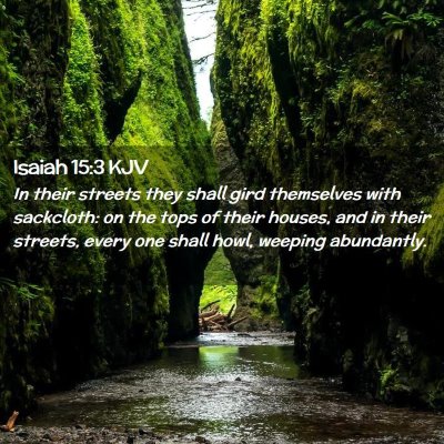 Picture 02 - Isaiah 15:3 KJV - In their streets they shall gird themselves with - Bible Verse Picture