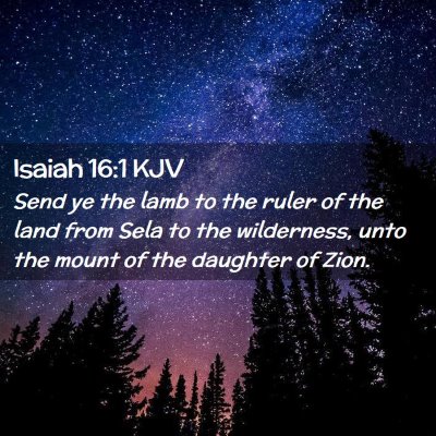 Picture 02 - Isaiah 16:1 KJV - Send ye the lamb to the ruler of the land from - Bible Verse Picture