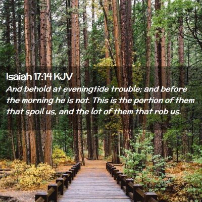 Picture 02 - Isaiah 17:14 KJV - And behold at eveningtide trouble; and before the - Bible Verse Picture