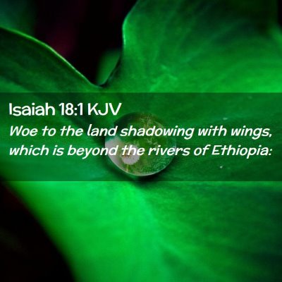 Picture 02 - Isaiah 18:1 KJV - Woe to the land shadowing with wings, which is - Bible Verse Picture