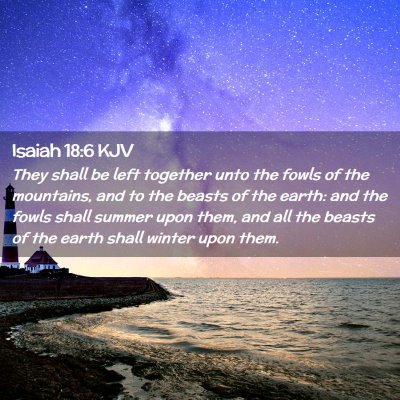 Picture 02 - Isaiah 18:6 KJV - They shall be left together unto the fowls of the - Bible Verse Picture