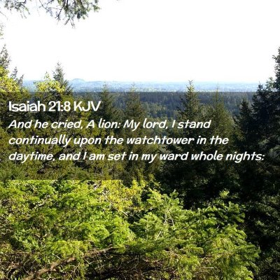 Picture 02 - Isaiah 21:8 KJV - And he cried, A lion: My lord, I stand - Bible Verse Picture