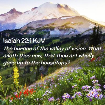 Picture 02 - Isaiah 22:1 KJV - The burden of the valley of vision. What aileth - Bible Verse Picture