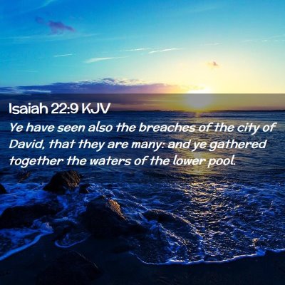 Picture 02 - Isaiah 22:9 KJV - Ye have seen also the breaches of the city of - Bible Verse Picture