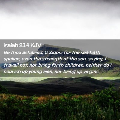 Picture 02 - Isaiah 23:4 KJV - Be thou ashamed, O Zidon: for the sea hath - Bible Verse Picture