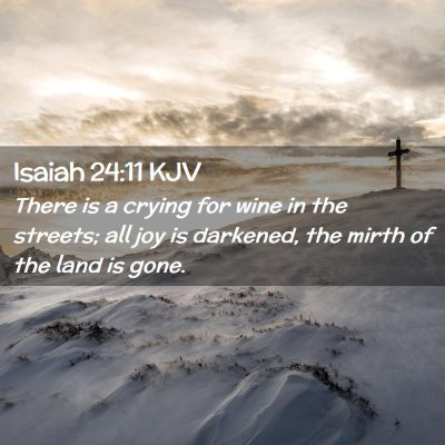 Picture 02 - Isaiah 24:11 KJV - There is a crying for wine in the streets; all - Bible Verse Picture