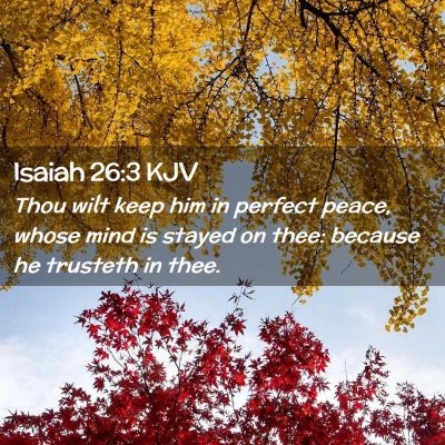 Picture 02 - Isaiah 26:3 KJV - Thou wilt keep him in perfect peace, whose mind - Bible Verse Picture