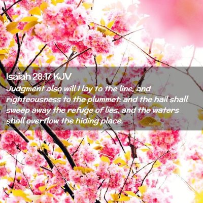 Picture 02 - Isaiah 28:17 KJV - Judgment also will I lay to the line, and - Bible Verse Picture