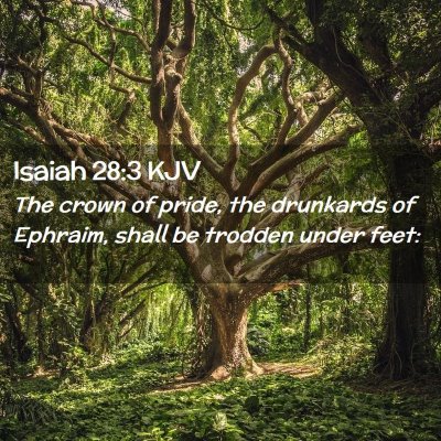 Picture 02 - Isaiah 28:3 KJV - The crown of pride, the drunkards of Ephraim, - Bible Verse Picture