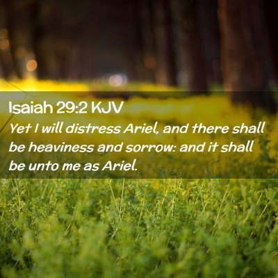 Picture 02 - Isaiah 29:2 KJV - Yet I will distress Ariel, and there shall be - Bible Verse Picture