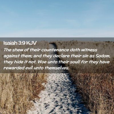 Picture 02 - Isaiah 3:9 KJV - The shew of their countenance doth witness - Bible Verse Picture