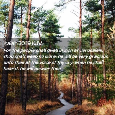 Picture 02 - Isaiah 30:19 KJV - For the people shall dwell in Zion at Jerusalem: - Bible Verse Picture