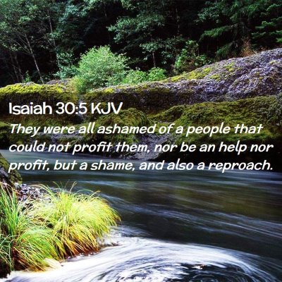 Picture 02 - Isaiah 30:5 KJV - They were all ashamed of a people that could not - Bible Verse Picture
