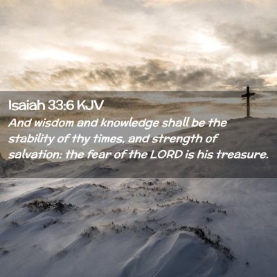 Picture 02 - Isaiah 33:6 KJV - And wisdom and knowledge shall be the stability - Bible Verse Picture