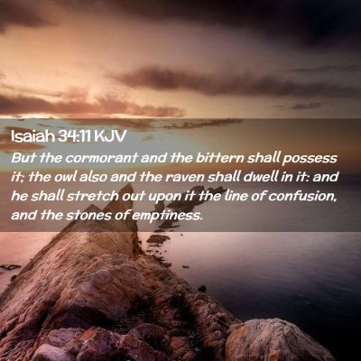 Picture 02 - Isaiah 34:11 KJV - But the cormorant and the bittern shall possess - Bible Verse Picture