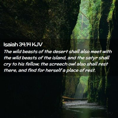 Picture 02 - Isaiah 34:14 KJV - The wild beasts of the desert shall also meet - Bible Verse Picture