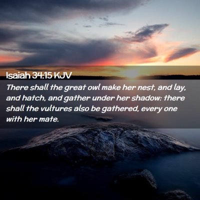 Picture 02 - Isaiah 34:15 KJV - There shall the great owl make her nest, and lay, - Bible Verse Picture