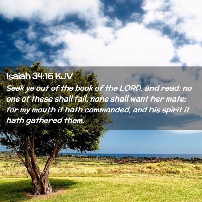 Picture 02 - Isaiah 34:16 KJV - Seek ye out of the book of the LORD, and read: no - Bible Verse Picture