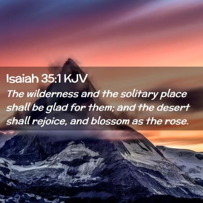 Picture 02 - Isaiah 35:1 KJV - The wilderness and the solitary place shall be - Bible Verse Picture