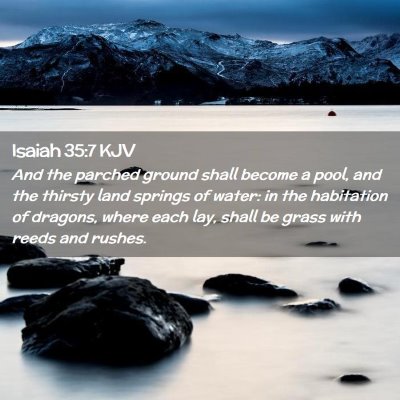Picture 02 - Isaiah 35:7 KJV - And the parched ground shall become a pool, and - Bible Verse Picture