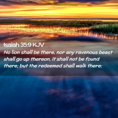 Picture 02 - Isaiah 35:9 KJV - No lion shall be there, nor any ravenous beast - Bible Verse Picture